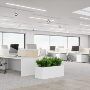 Bloom Pro-Commercial Moves